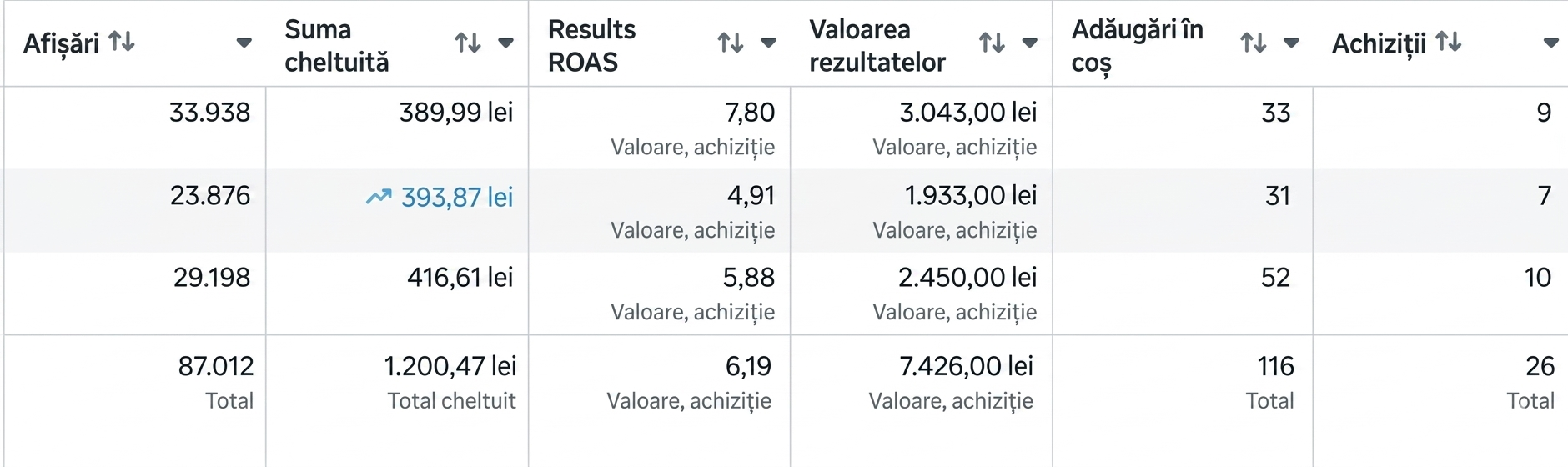 Rezultate Meta Ads Manager — client fashion